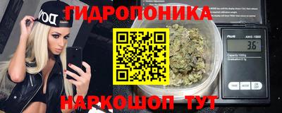спиды Гай