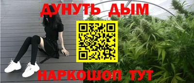 спиды Гай