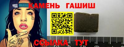 спиды Гай